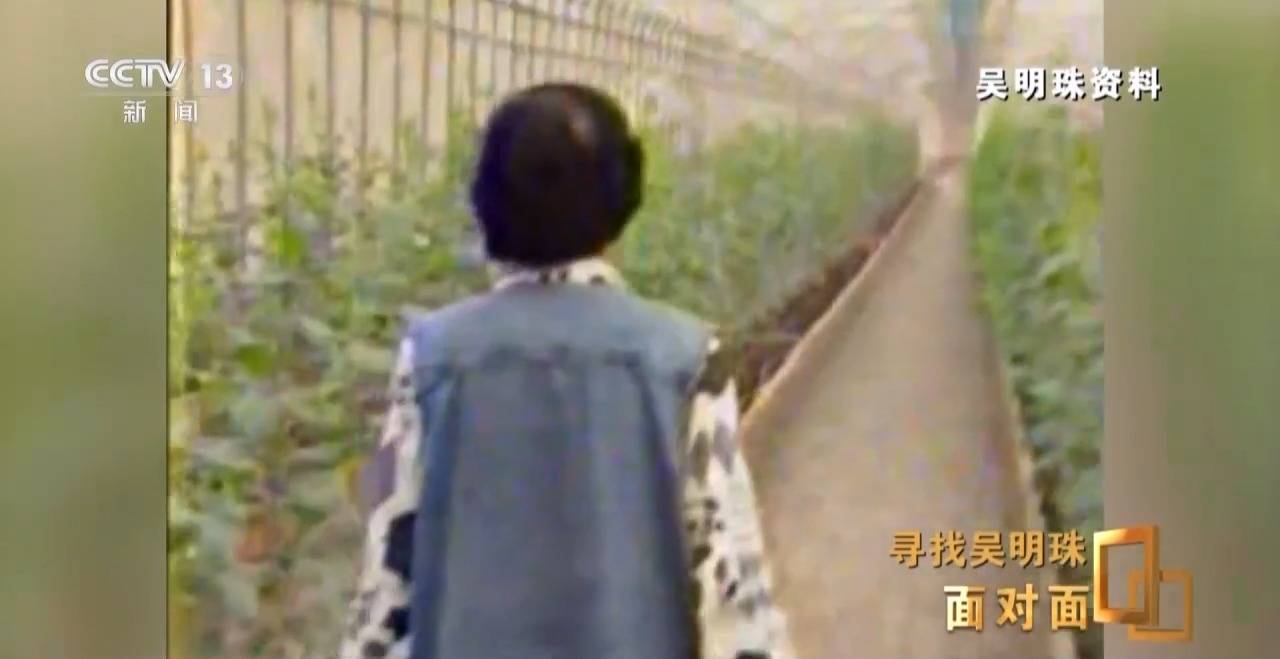 皇冠信用网出租足球
_面对面丨中国人的吃瓜自由要感谢她皇冠信用网出租足球
！吴明珠说她的一生就是结几个好瓜献给人民