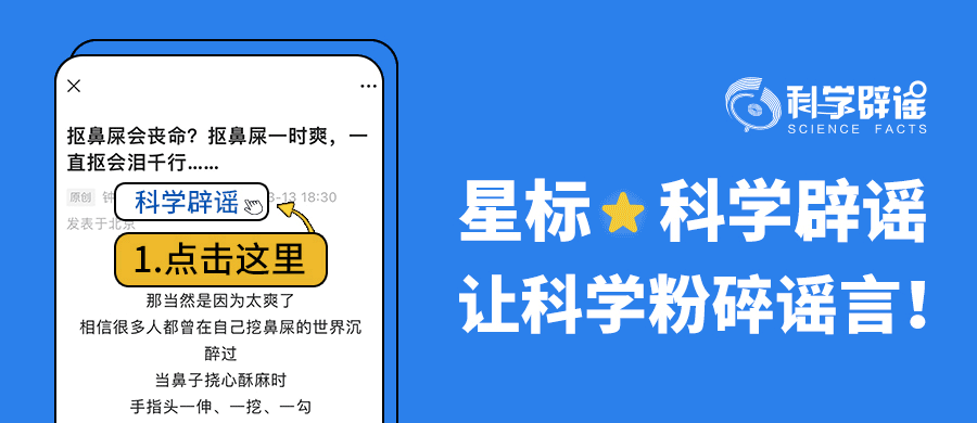皇冠信用網代理占成_无根豆芽是用激素催生的皇冠信用網代理占成，吃了会致癌？
