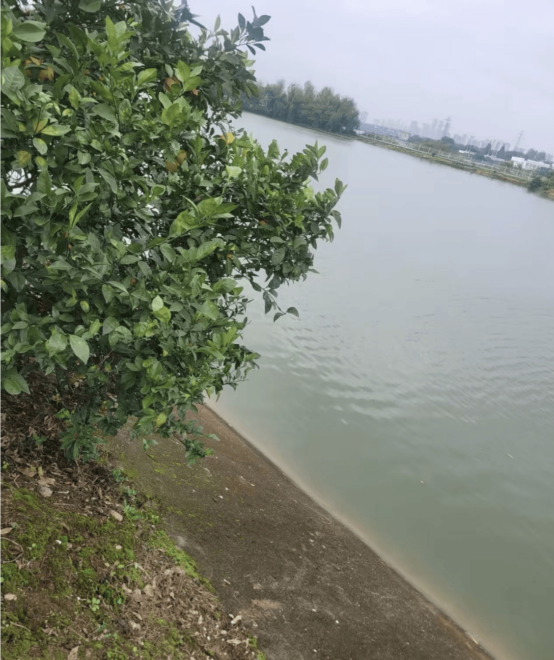 皇冠信用网去哪里弄
_华中农业大学一博士生溺水身亡皇冠信用网去哪里弄
，武汉警方通报：为溺亡，排除案件，相关工作正在开展