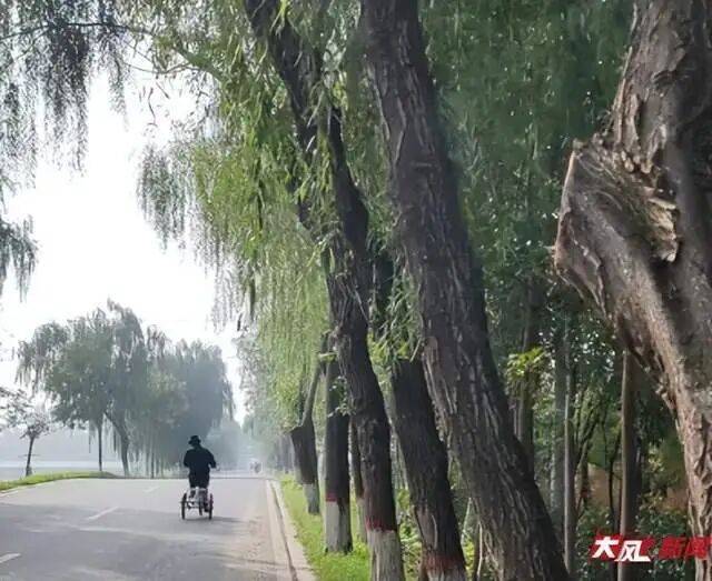 皇冠hga030_陕西兴平56岁女教师骑电动车“撞树枝”身亡皇冠hga030，交警判定担主责，家属提出诸多质疑，多方回应