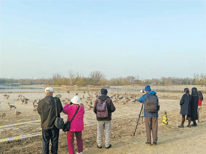 皇冠体育App下载
_“大姐皇冠体育App下载
，再喂它们就走不了了！”