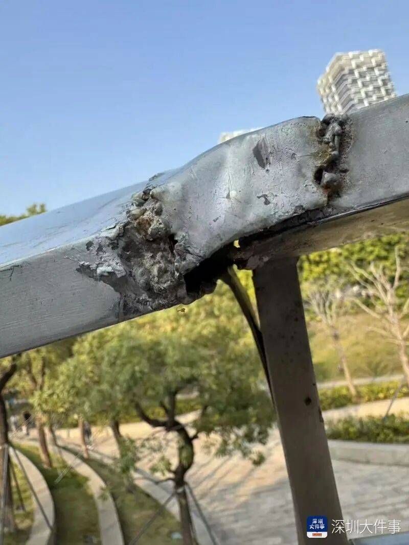 世界杯皇冠信用网开户_“影响我的形象”!一男子在深圳湾遭遇意外世界杯皇冠信用网开户,头皮被戳破!部门回应